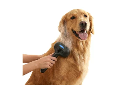 Elektrický parný vyčesávací kartáč – dobíjací