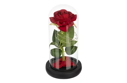 Večná ruža v skle s LED osvetlením