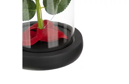 Večná ruža v skle s LED osvetlením