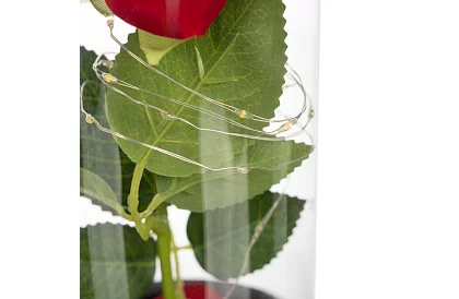 Večná ruža v skle s LED osvetlením