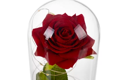 Večná ruža v skle s LED osvetlením