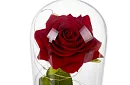 Večná ruža v skle s LED osvetlením