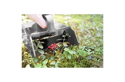 Hrebienok na čučoriedky – ručný zberač ovocia