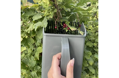 Hrebienok na čučoriedky – ručný zberač ovocia