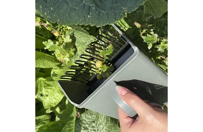 Hrebienok na čučoriedky – ručný zberač ovocia