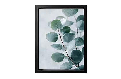 Jemná príroda - obraz - Eukalyptus v minimalistickom štýle 54