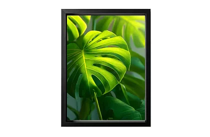 Tropický list - obraz - Monstera v modernom prírodnom štýle 45