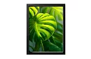 Tropický list - obraz - Monstera v modernom prírodnom štýle 45