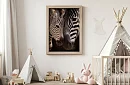 Blízkosť prírody - obraz - Zebra s mláďaťom v detaile 55