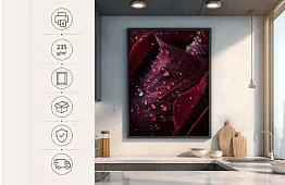 Kapky vášne - obraz - Detail ruže s kvapkami vody 61