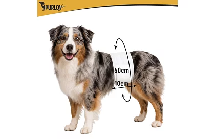 Psie plienky savé nohavičky 12 ks M - L – pre psov 46–60 cm