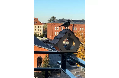Drevené DIY kŕmidlo pre vtáky na montáž a maľovanie