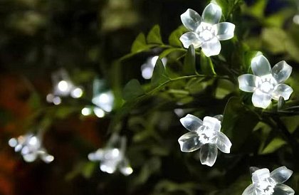 Dekoratívna vonkajšia solárna reťaz so 40 LED – Lights Flowers