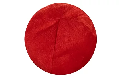 Sobie parohy a nos – dekorácie pre váš voz