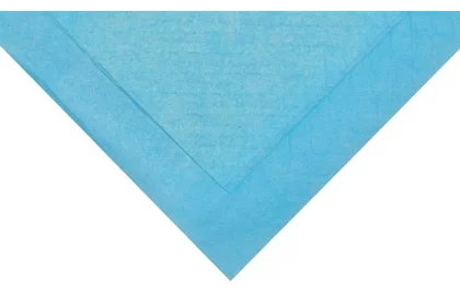 Absorpčná hygienická vložka - sada 50 ks.