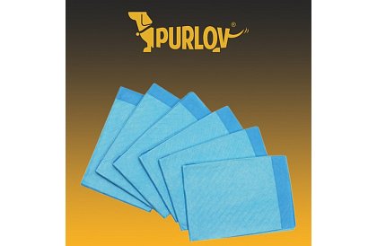 Absorpčná hygienická vložka - sada 50 ks.