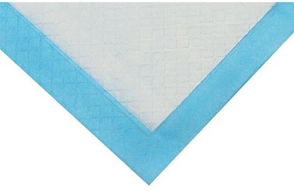 Absorpčná hygienická vložka - sada 50 ks.