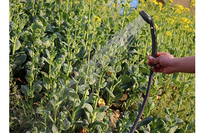 Prenosná cestovná - kempingová sprcha