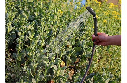 Prenosná cestovná - kempingová sprcha