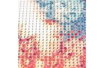 Diamantové maľovanie 5D – Jeleň