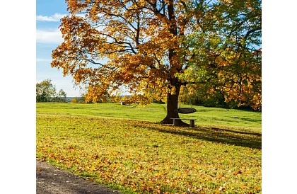 Hojdačka - čapí hniezdo čierna - 100 cm / 150 kg