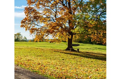 Hojdačka - čapí hniezdo čierna - 100 cm / 150 kg