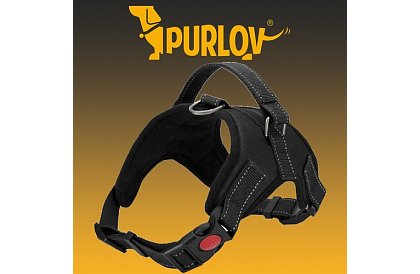 Beztlakový postroj pre psov - Veľkosť M