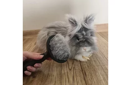 Samočistiaci vyčesávací kartáč na srsť