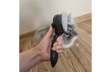 Samočistiaci vyčesávací kartáč na srsť