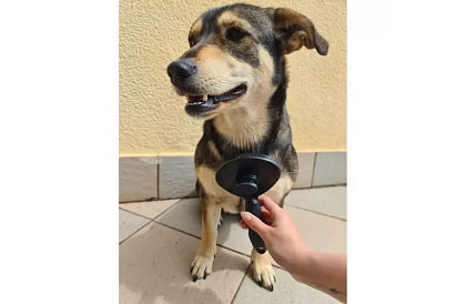 Samočistiaci vyčesávací kartáč na srsť