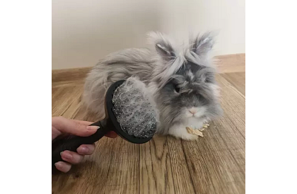 Samočistiaci vyčesávací kartáč na srsť