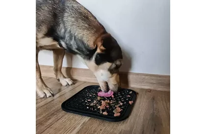 Antistresová podložka pre psov