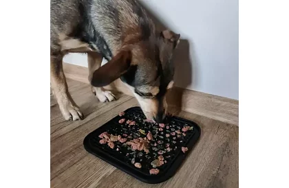 Antistresová podložka pre psov