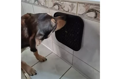 Antistresová podložka pre psov