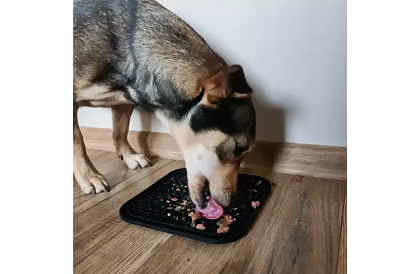 Antistresová podložka pre psov