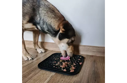 Antistresová podložka pre psov