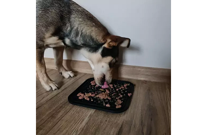 Antistresová podložka pre psov