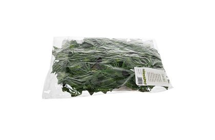 Umelý brečtan – girlanda 25,2 m