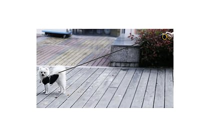 Automatické Flexi vodítko do 15 kg – 5 m