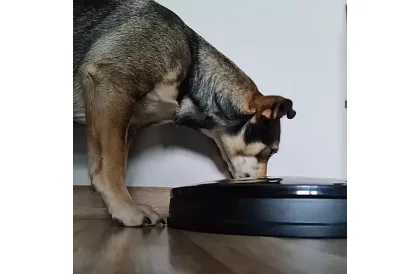 Automatický dávkovač krmiva s časovačom