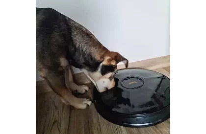 Automatický dávkovač krmiva s časovačom