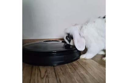 Automatický dávkovač krmiva s časovačom