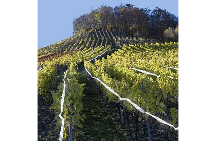 Holografická páska na odpudzovanie vtákov - 80 metrov