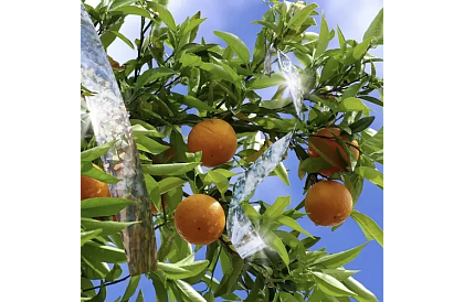 Holografická páska na odpudzovanie vtákov - 80 metrov