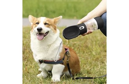 Cestovná fľaša na vodu pre psov s miskou na maškrty