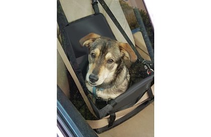 Prepravná taška vášho domáceho maznáčika na sedadlo auta