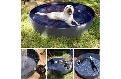 Skladací bazén pre psa - 100 x 30 cm