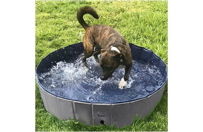 Skladací bazén pre psa - 100 x 30 cm