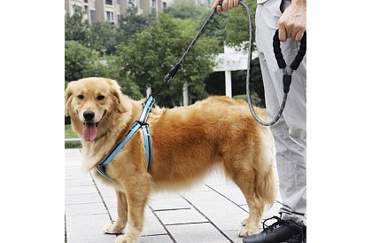 Silné výcvikové vodítko pre veľkého psa - 5 m