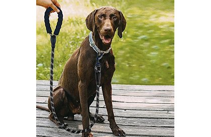 Silné výcvikové vodítko pre veľkého psa - 5 m